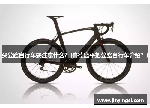 买公路自行车要注意什么？(喜德盛平把公路自行车介绍？)