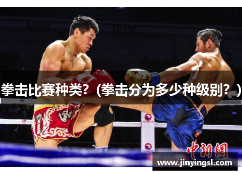 拳击比赛种类？(拳击分为多少种级别？)