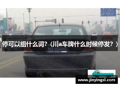停可以组什么词？(川a车牌什么时候停发？)
