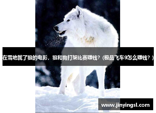 在雪地就了狼的电影，狼和狗打架比赛赚钱？(极品飞车9怎么赚钱？)